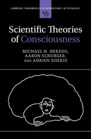 Scientific Theories Of Consciousness