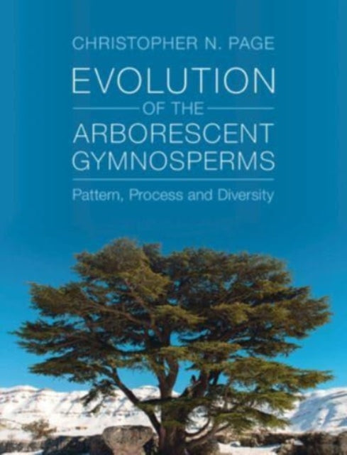 Evolution Of The Arborescent Gymnosperms