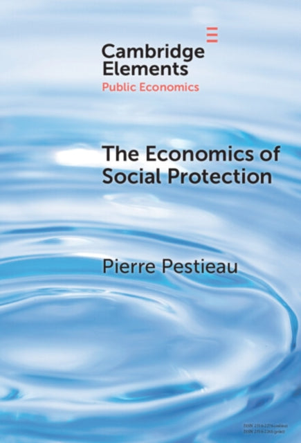 The Economics Of Social Protection By Pestieau  Pierre