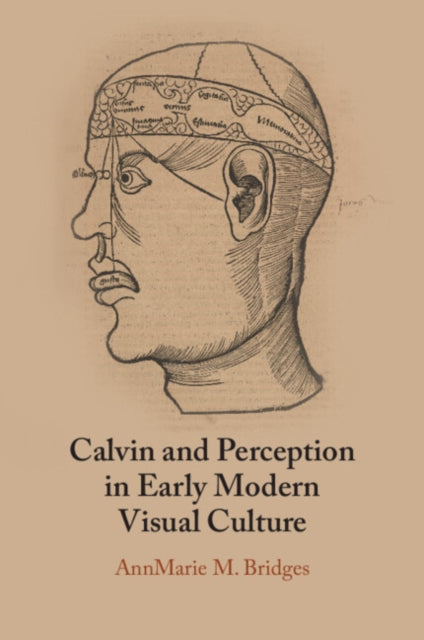 Calvin And Perception In Early Modern V By Bridges  Annmarie M.