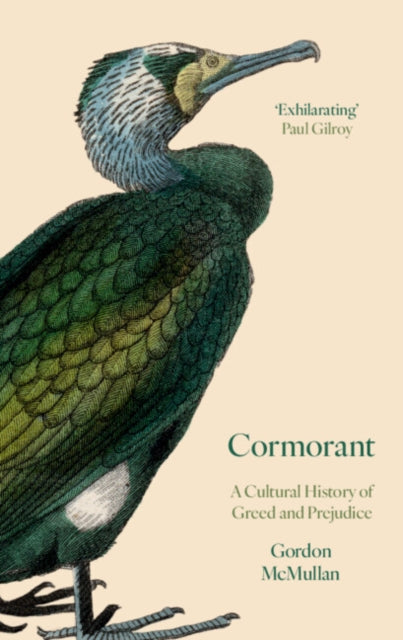 Cormorant