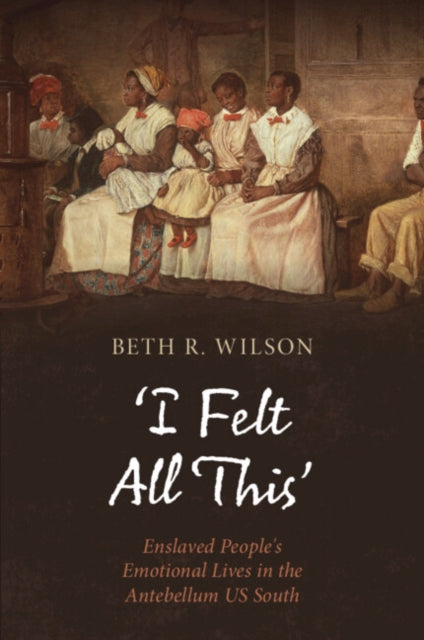 I Felt All This By Wilson  Beth R.