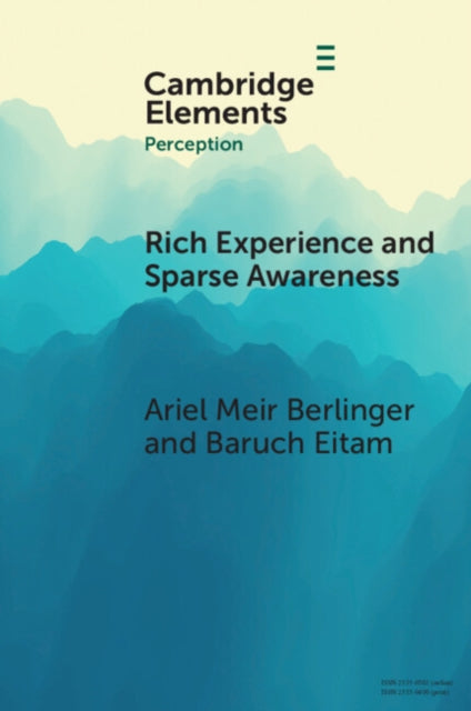 Rich Experience And Sparse Awareness By Berlinger  Ariel Mei
