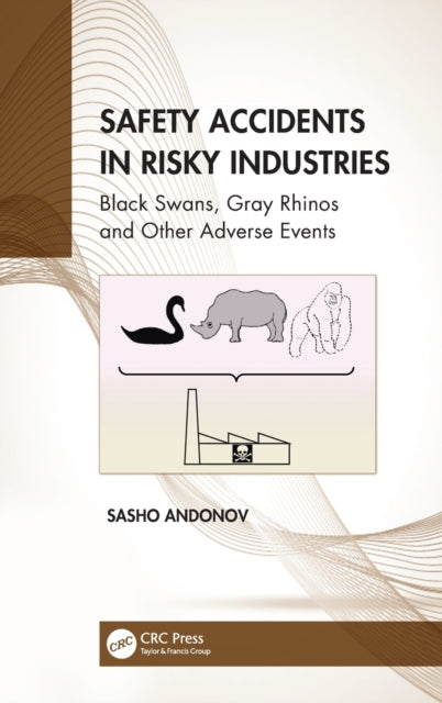 Safety Accidents In Risky Industries
