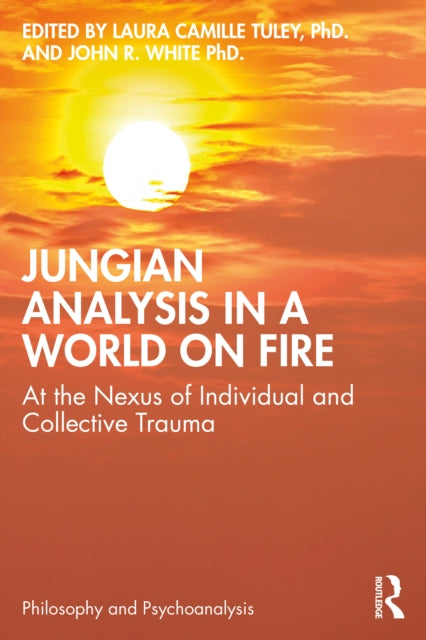 Jungian Analysis In A World On Fire