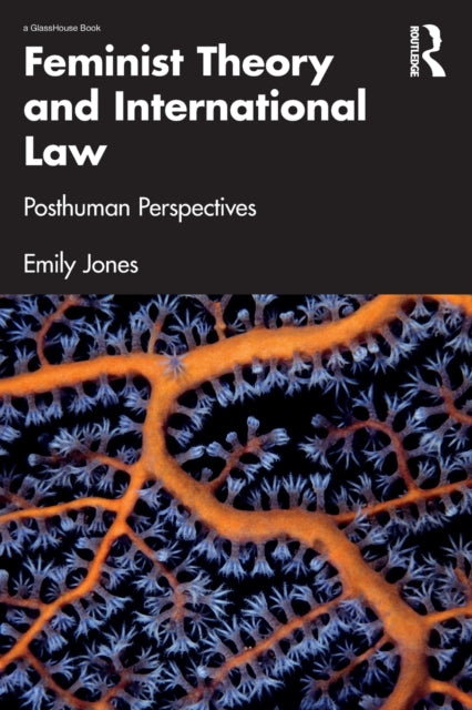 Feminist Theory & International Law
