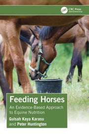 Feeding Horses By Kaya Karasu  Gulsah
