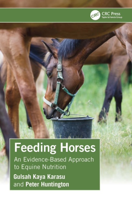 Feeding Horses By Kaya Karasu  Gulsah