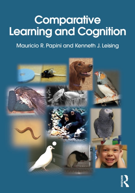 Comparative Learning And Cognition