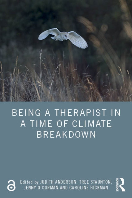 Being A Therapist In A Time Of Climate B By Anderson, Judith