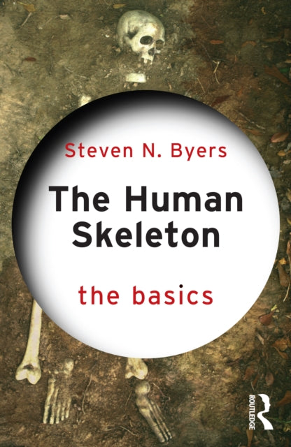 Human Skeleton The Basics