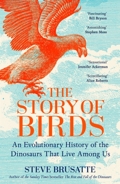 Story Of Birds By Brusatte, Steve