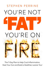 Youre Not Fat Youre On Fire By Perrine, Stephen
