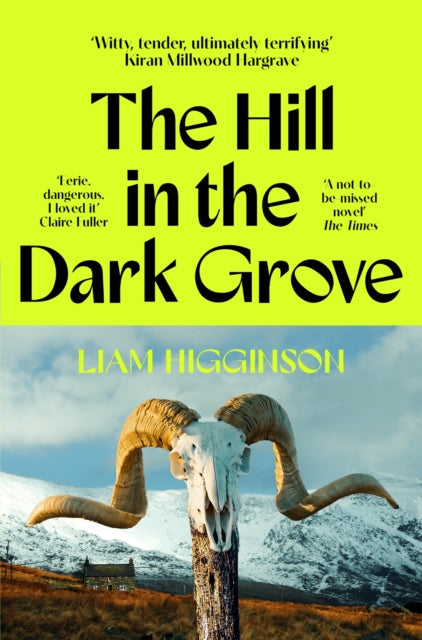 Hill In The Dark Grove By Higginson, Liam