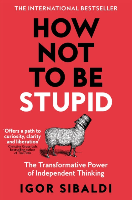 How Not To Be Stupid By Sibaldi, Igor