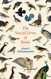 Social Lives Of Birds