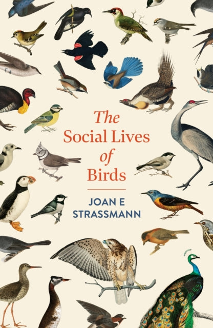 Social Lives Of Birds