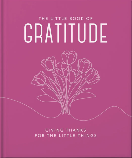 Little Book Of Gratitude