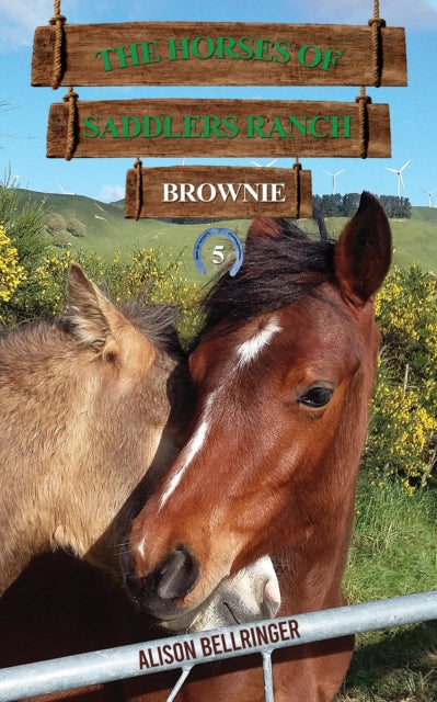 Horses Of Saddlers Ranch Brownie