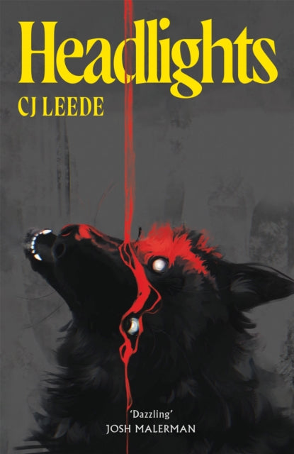 Headlights By Leede, C.j.