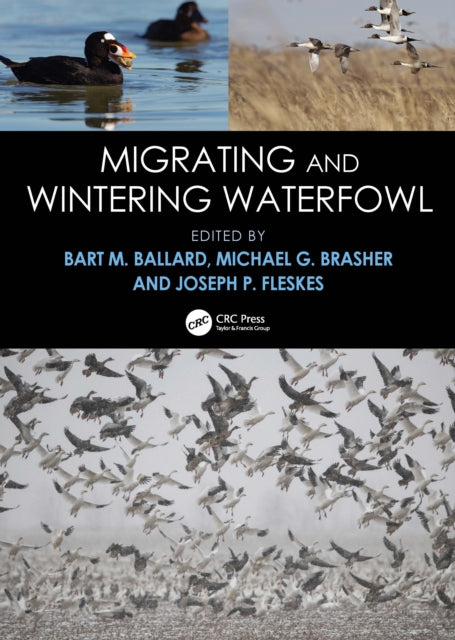 Migrating And Wintering Waterfowl