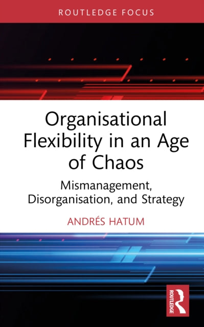 Organisational Flexibility In An Age Of By Hatum  Andr    S
