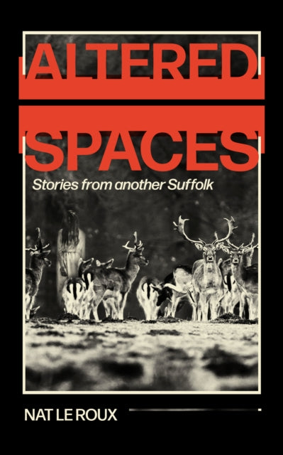 Altered Spaces By Le Roux, Nat