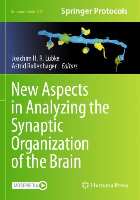New Aspects In Analyzing The Synaptic Or By L Bke, Joachim H.r.