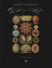 Ernst Haeckel Art Forms In Nature Colori