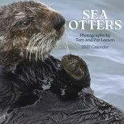 Sea Otters Photographs By Tom & Pat Lees