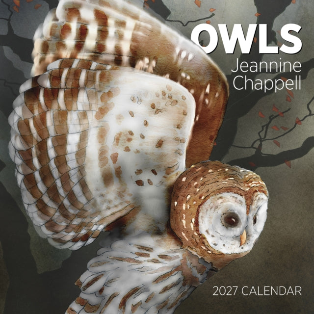 Owls Jeannine Chappell 2027 Wall Calenda By Chappell, Jeannine