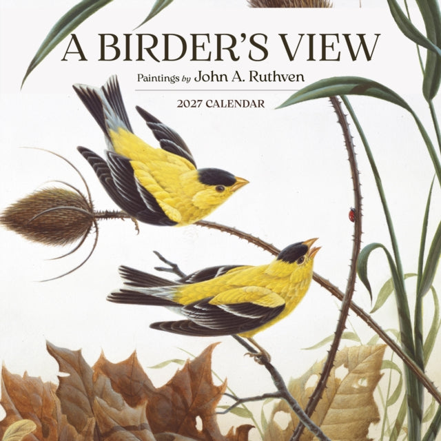 Birders View Paintings By John A Ruthven By Ruthven, John A
