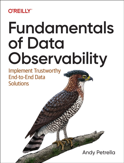 Fundamentals Of Data Observability