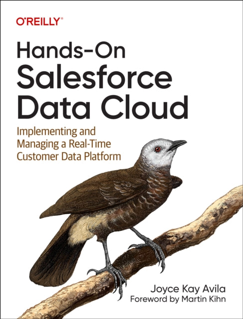 Hands On Salesforce Data Cloud
