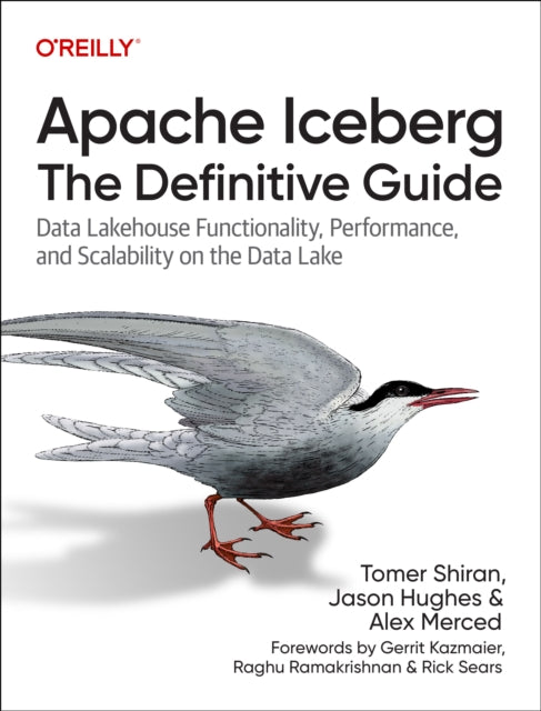 Apache Iceberg The Definitive Guide