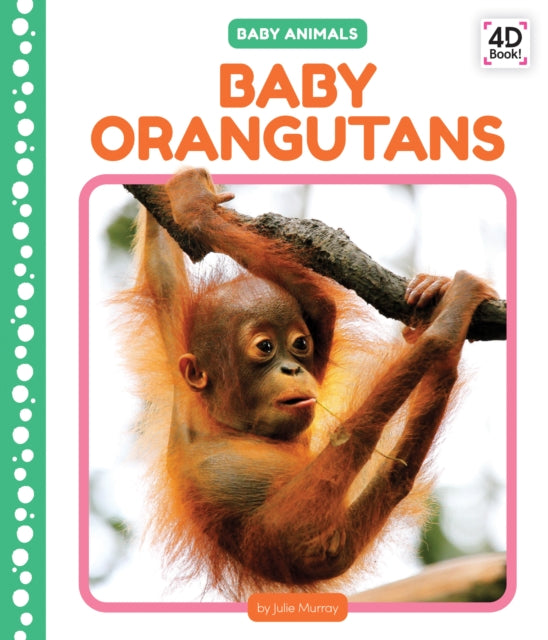 Baby Orangutans By Murray, Julie