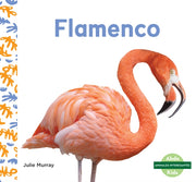 Flamenco Flamingos By Murray, Julie