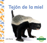 Tejon De La Miel Honey Badgers By Murray, Julie