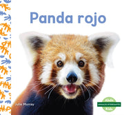 Panda Rojo Red Pandas By Murray, Julie