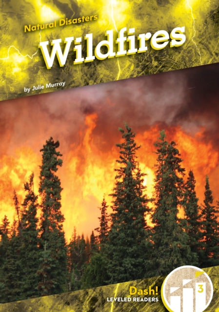 Wildfires By Murray, Julie