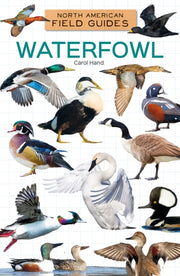 Waterfowl By Hand, Carol