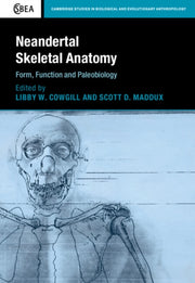 Neandertal Skeletal Anatomy