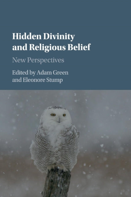 Hidden Divinity And Religious Belief By Green, Adam