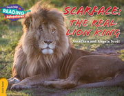 Scarface The Real Lion King Gold Band By Scott, Jonathan