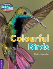 Camrdavtrs Colourful Birds Purple