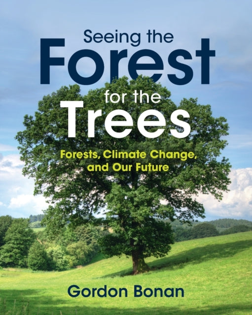 Seeing The Forest For The Trees