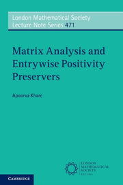 Matrix Analysis & Entrywise Positivity