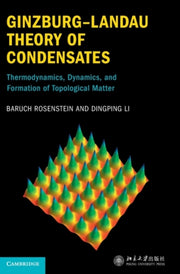 Ginzburglandau Theory Of Condensates