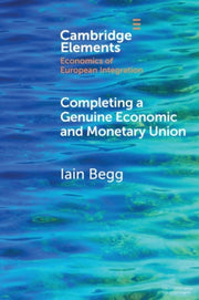 Completing A Genuine Economic And Monet
