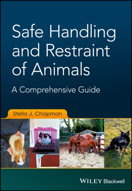 Comprehensive Guide To The Safe Handlin